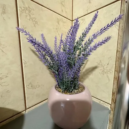 Apartment Filipopolis Plowdiw