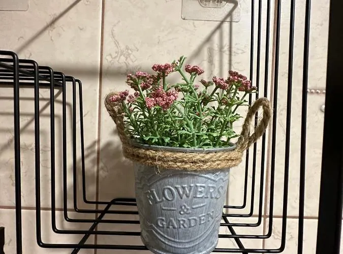 Filipopolis Apartman *