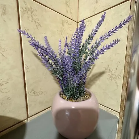 Апартамент Filipopolis Пловдив
