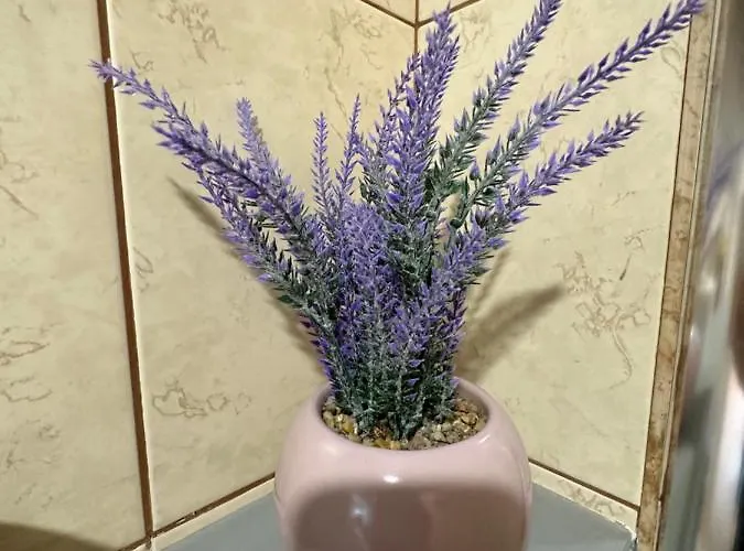 公寓 Filipopolis 普罗夫迪夫